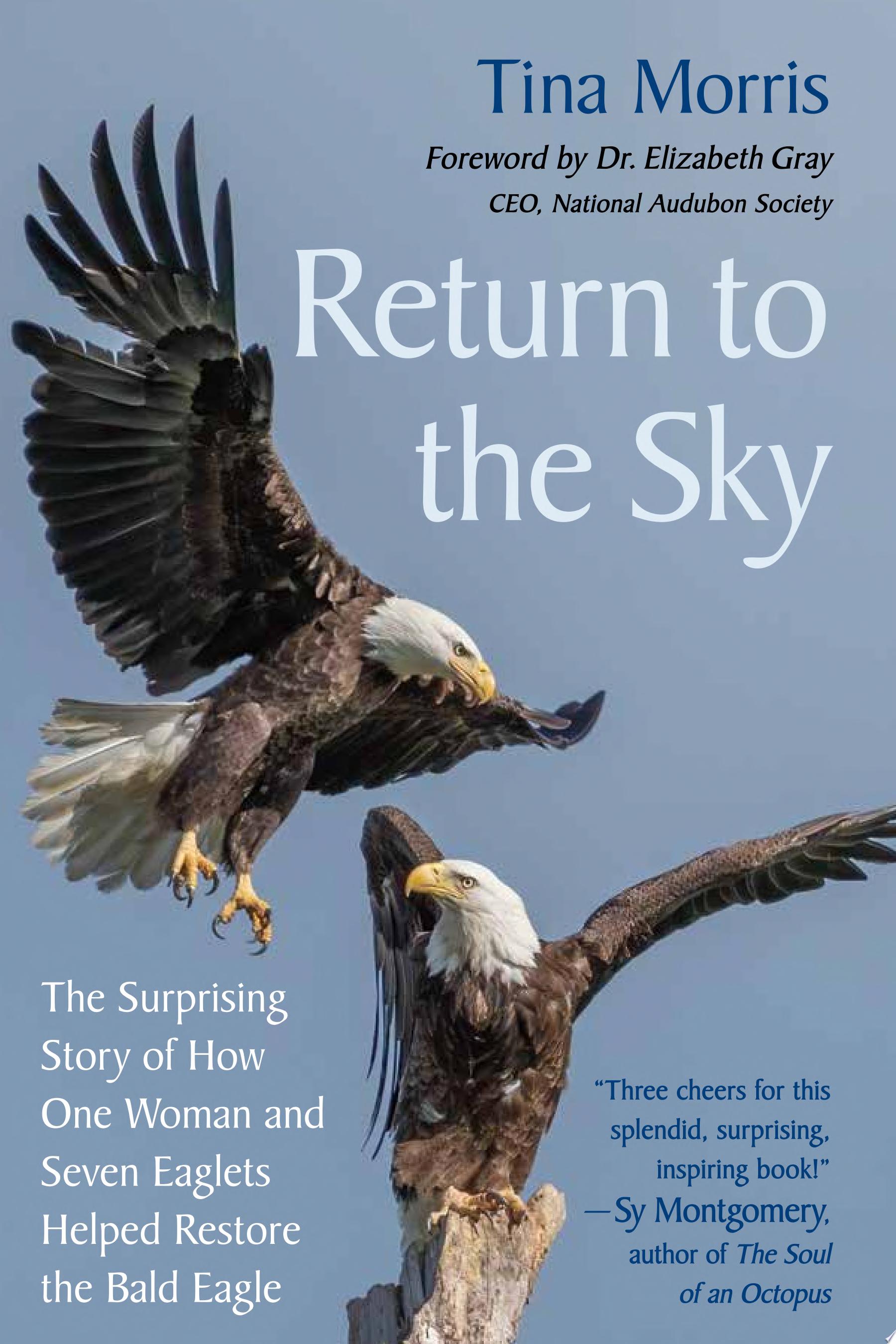 Image for "Return to the Sky"