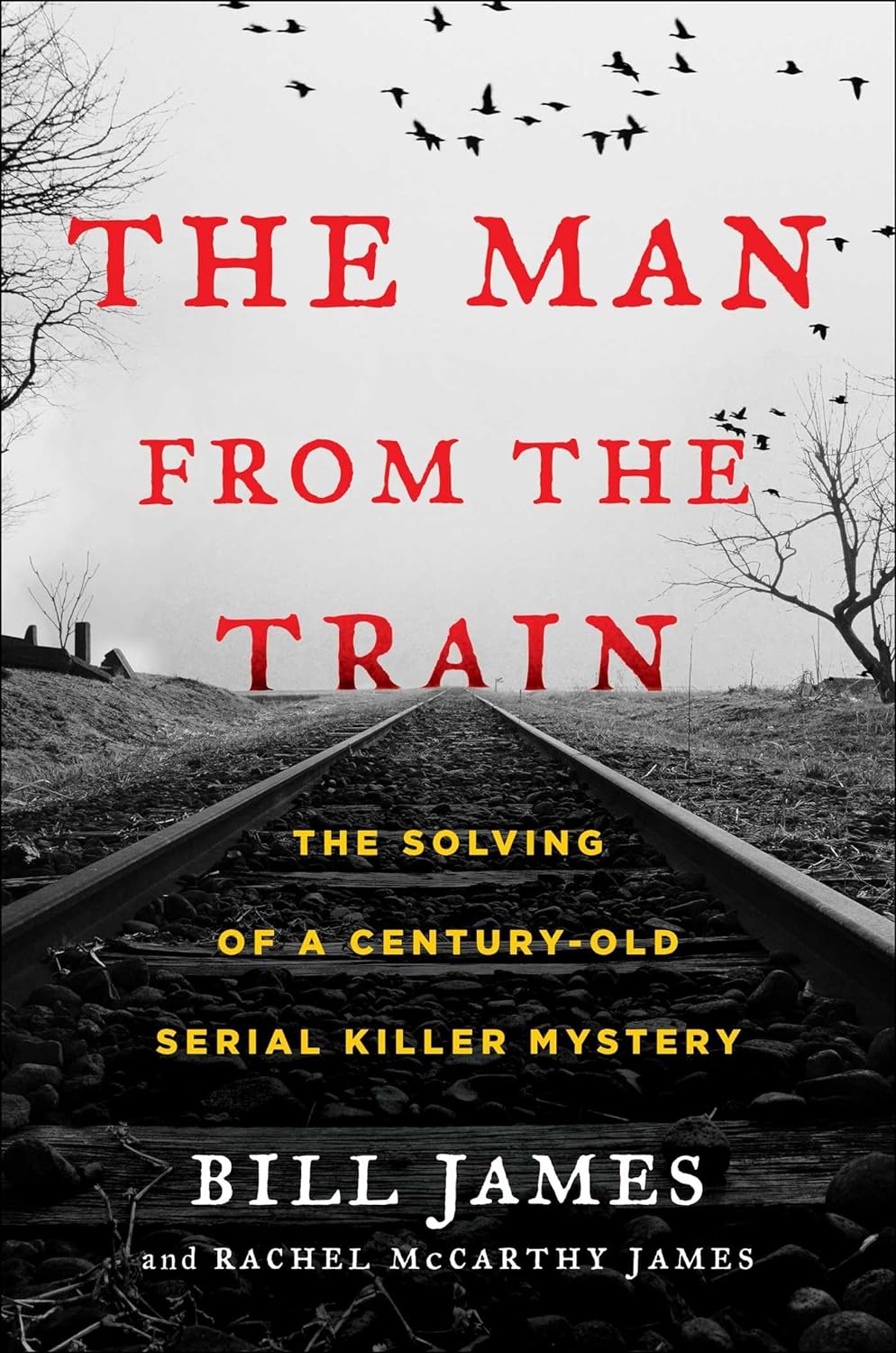 Image for "The Man from the Train"