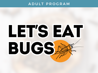 Let's Eat Bugs